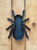 tavita senzoriala furnica activitati copii insecte primavara invatam prin joaca adhd montessori prescolar gradinita