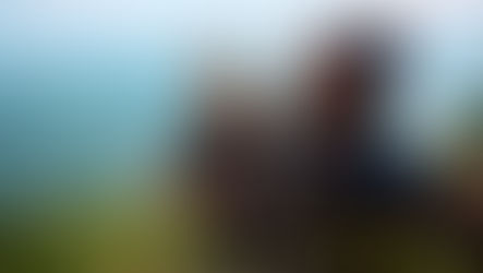 The Basics of Reproductive Health