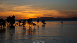 Orpheus Island4