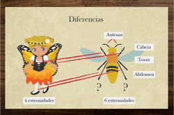 Re-diseño de tele-talleres