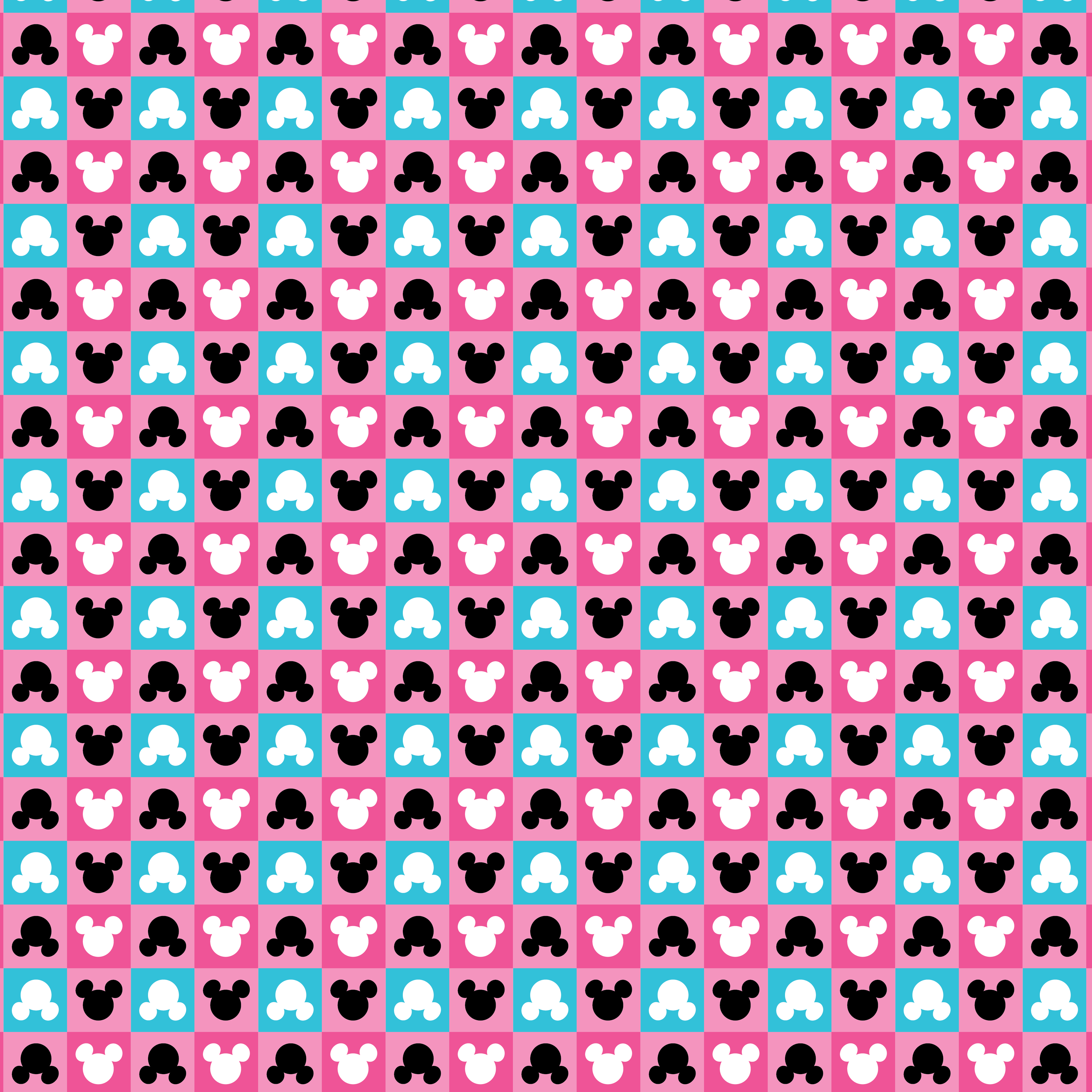 Fundo Fotográfico em Tecido - Mickey e Minie