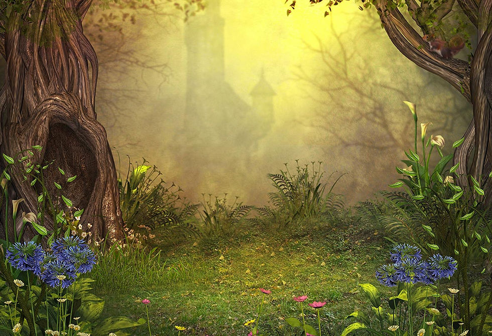 Fundo Fotográfico em Tecido - Floresta