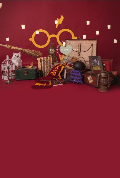 Miniatura: Fundo Fotográfico em Tecido - Harry Potter - Thais Andriani
