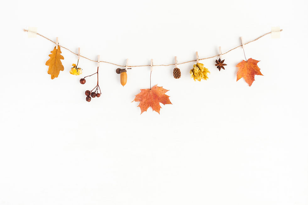 Fundo Fotográfico em Tecido - OUTONO