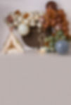 Miniatura: Fundo Fotográfico em Tecido - Safari - Geliane Brum