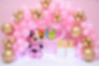 Fundo Fotográfico em Tecido -  Minnie Rosa - Studio Photo Kids