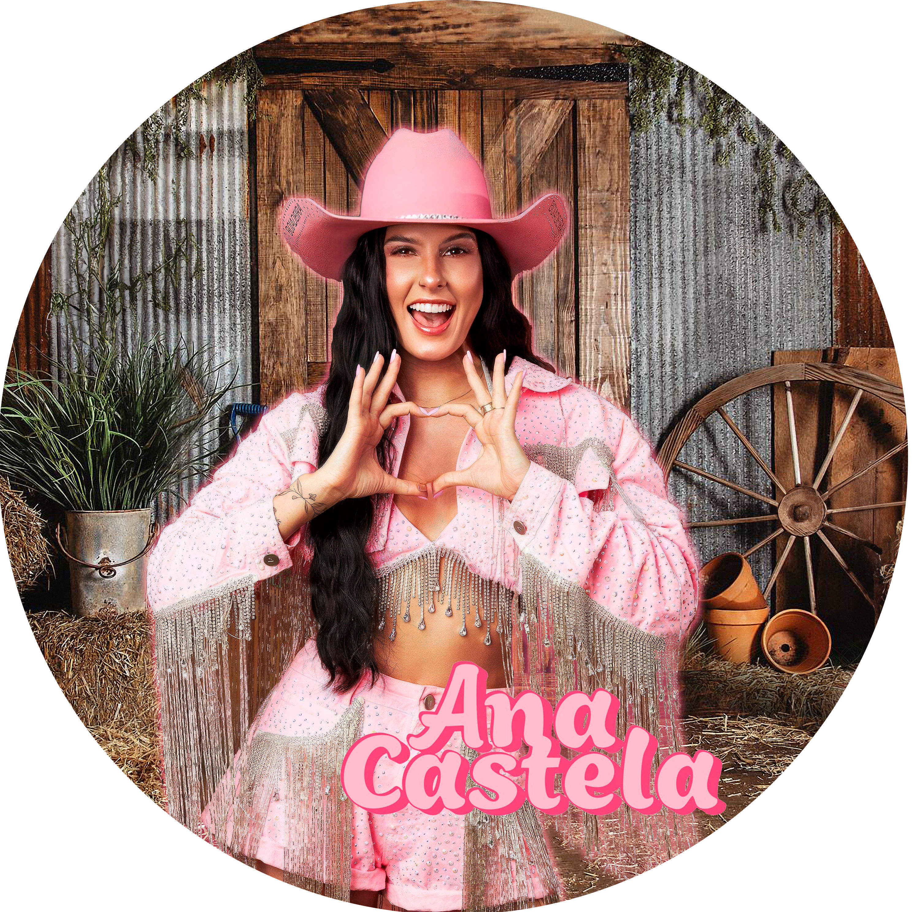 Painel Fotográfico de Festa Redondo Tema - Ana Castela