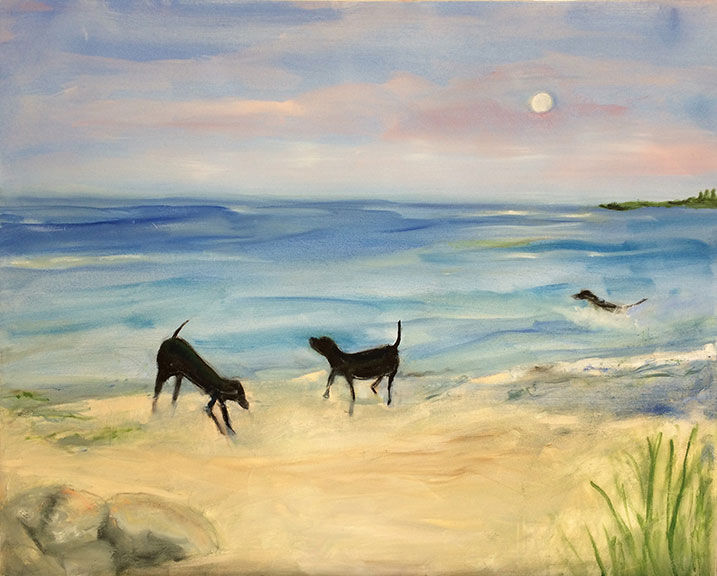 Beach Dogs