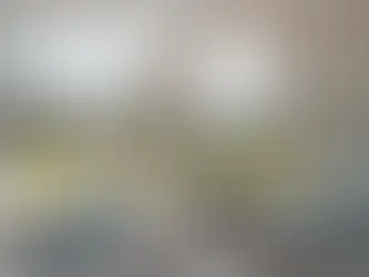 Glass vs Solid Conservatory Roofs: Which Is Right for Your Project?