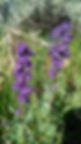 20190718_092221.jpg