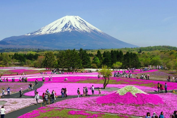 Thumbnail: [2024] KHÁM PHÁ NHẬT BẢN 6N5Đ VNA OSAKA - KYOTO - PHÚ SĨ - TOKYO