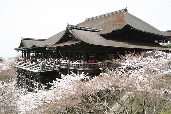 Thumbnail: [2024]NHẬT BẢN MÙA HOA ANH ĐÀO 6N5Đ VNA NAGOYA–NARA-OSAKA–KYOTO–NÚI PHÚ SỸ–TOKYO