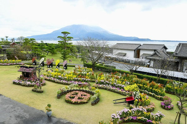 Hình thu nhỏ: [2024] QUYẾN RŨ SẮC HOA NHẬT BẢN 6N5Đ VNA KAGOSHIMA – SAKURAJIMA- SENGANEN