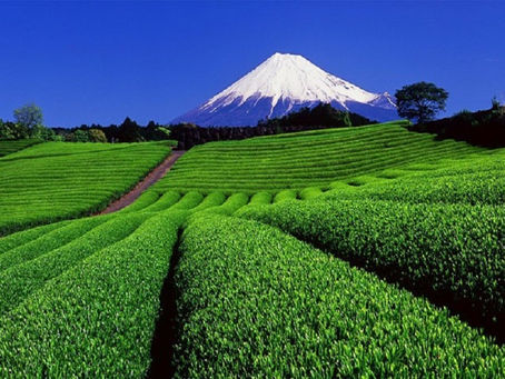 NHỮNG TRẢI NGHIỆM ĐỘC ĐÁO ĐỂ BẮT NHỊP XU HƯỚNG DU LỊCH NHẬT BẢN