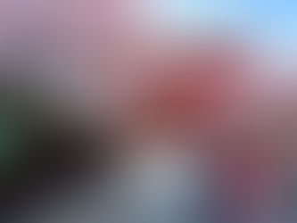 NHỮNG LỢI ÍCH KHI ĐI DU LỊCH NHẬT BẢN