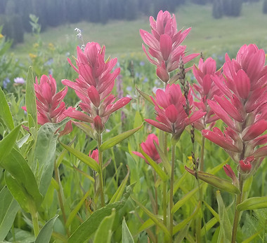 20190729_135012.jpg