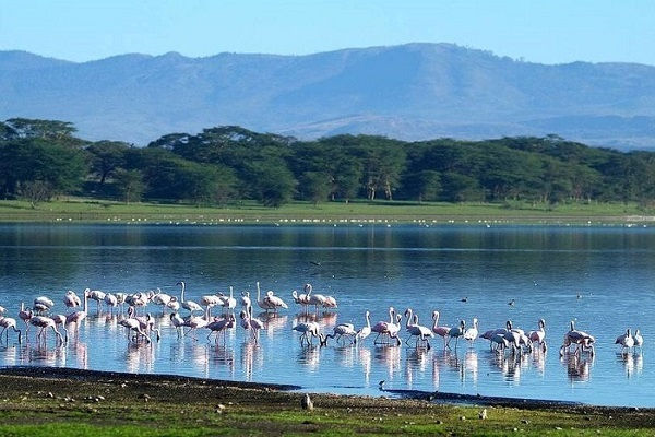 Thumbnail: [2025] DU LỊCH CHÂU PHI KỲ VĨ 8N7Đ ET KENYA - ETHIOPIA