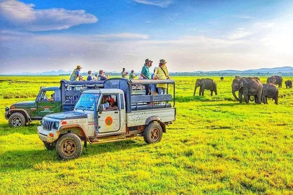 Thumbnail: [2026] 6N5Đ VNA KHÁM PHÁ HÒN NGỌC ẤN ĐỘ DƯƠNG SRI LANKA