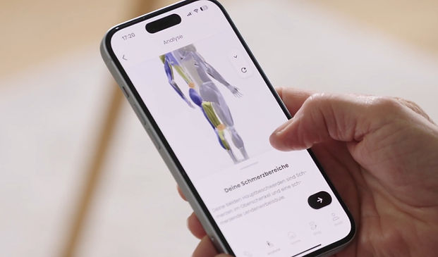 Auswertung Eversion-App