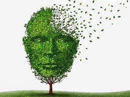 Who is at a risk of dementia?