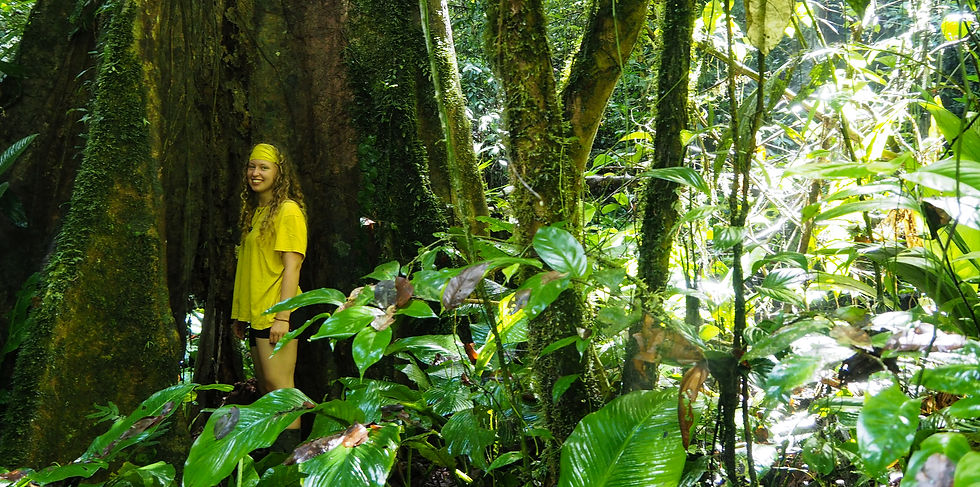 Reise und Rette die Welt - Buchvortrag und Lesung