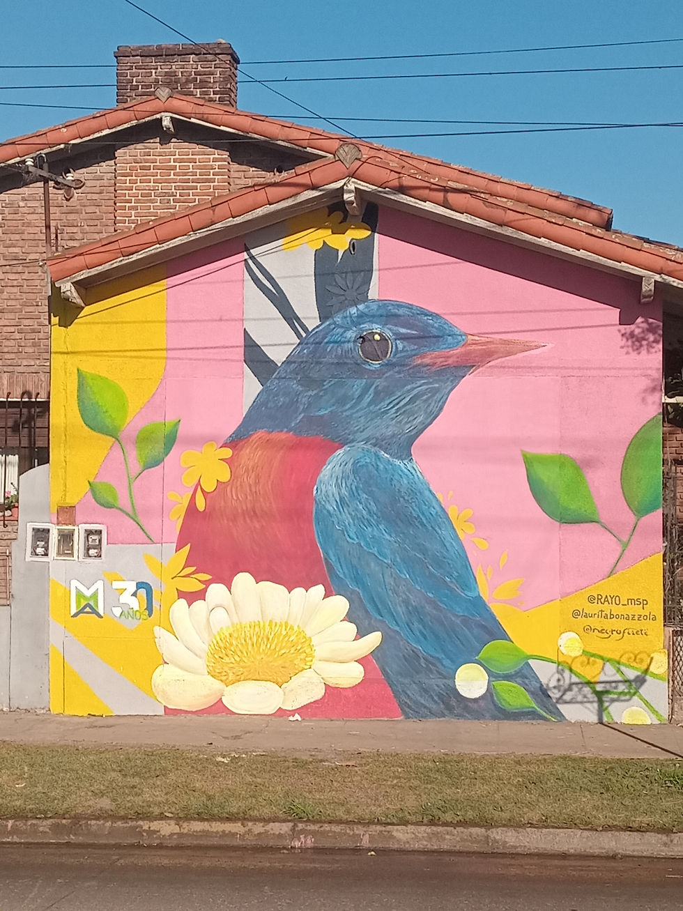 Allí Donde las paredes Hablan. El Colibrí.