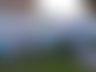 Murales pintados por Raquel Petriz