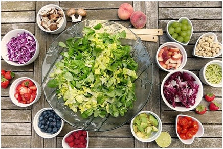 Plant vs animal protein