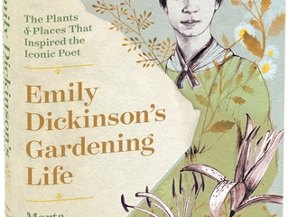 Wandering in Emily Dickinson's gardens with The New York Times