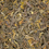 Thumbnail: Organic First Flush Darjeeling Black Tea