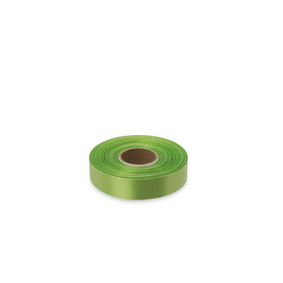 Thumbnail: Satin ribbon RTS Premium (14) apple green