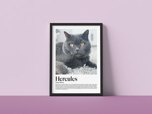 Seinään nojaava kehys, jossa kuva kissasta ja tekstiä kissasta. Muistotaulu.