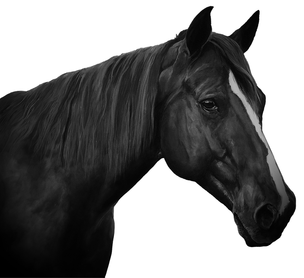 horse-painting-custom-black-and-white-mi