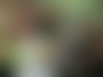 Wedding | Jhih & Min