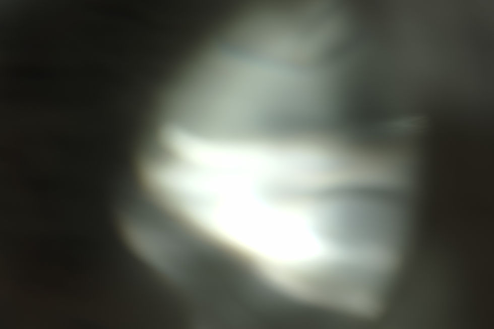 DSC00540.JPG