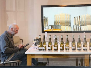 כשהבלנד נעשה מכרמים שונים של אותו זן: על הסוביניון בלאן החדש והחד-פעמי של יקב ספרה