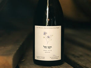 גוף הפך מקום: על סירה אחת יוצאת דופן מהחרמון