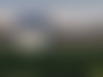 כשהיפהפיה הנרדמת מתעוררת: על אינטרפרטציה שונה לריברה דל דוארו