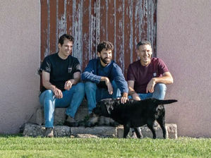 מיזוגים ורכישות בבורדו: כמה מחשבות על הרכישה של צרעה ופלם