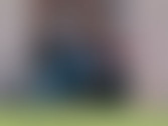 מיזוגים ורכישות בבורדו: כמה מחשבות על הרכישה של צרעה ופלם