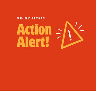 Copy of ACTION ALERT! (Twitter Post).jpeg