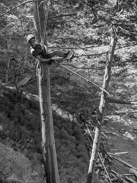 PXL_20210701_230940063 (1)_edited.jpg