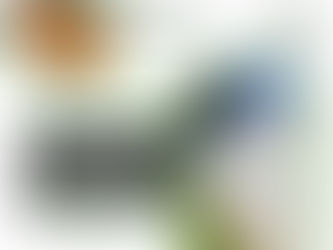 How to Choose Between Privacy and Decorative Fencing in Laredo TX