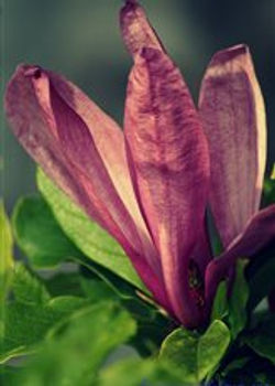 ^0467D38C1CACEA702C65F41A6DF2874BA26DBAECD1E08AE92F^pimgpsh_thumbnail_win_distr