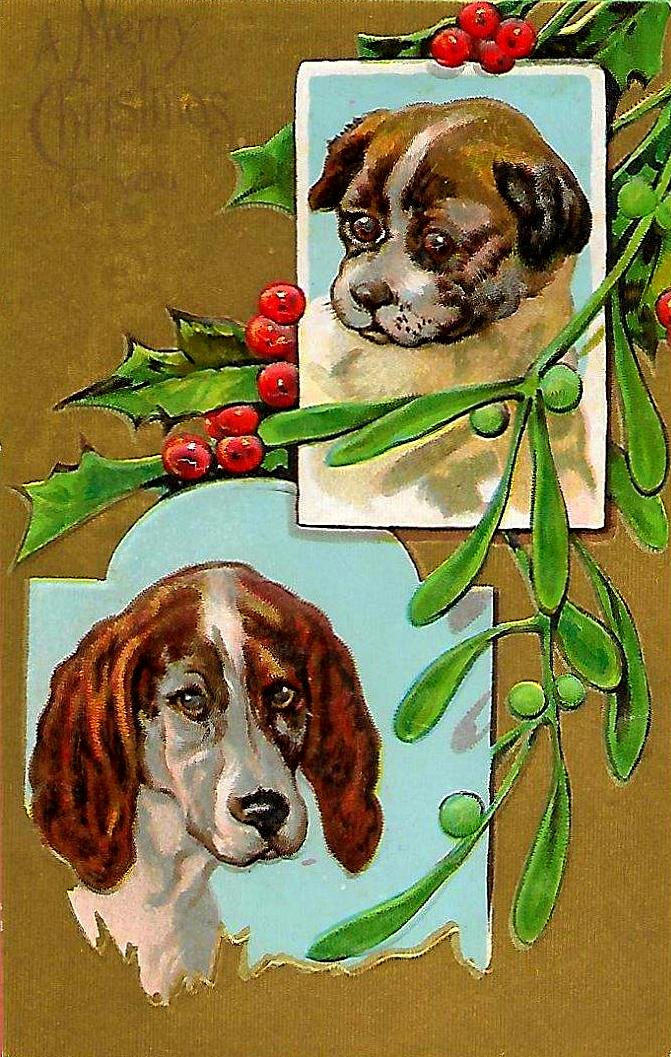 Vintage Postcard Christmas Two Dogs with Mistletoe and Holly