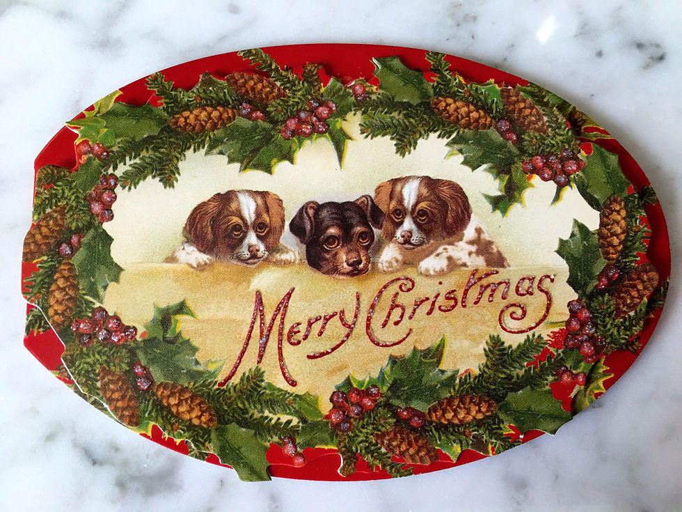 puppies at christmas