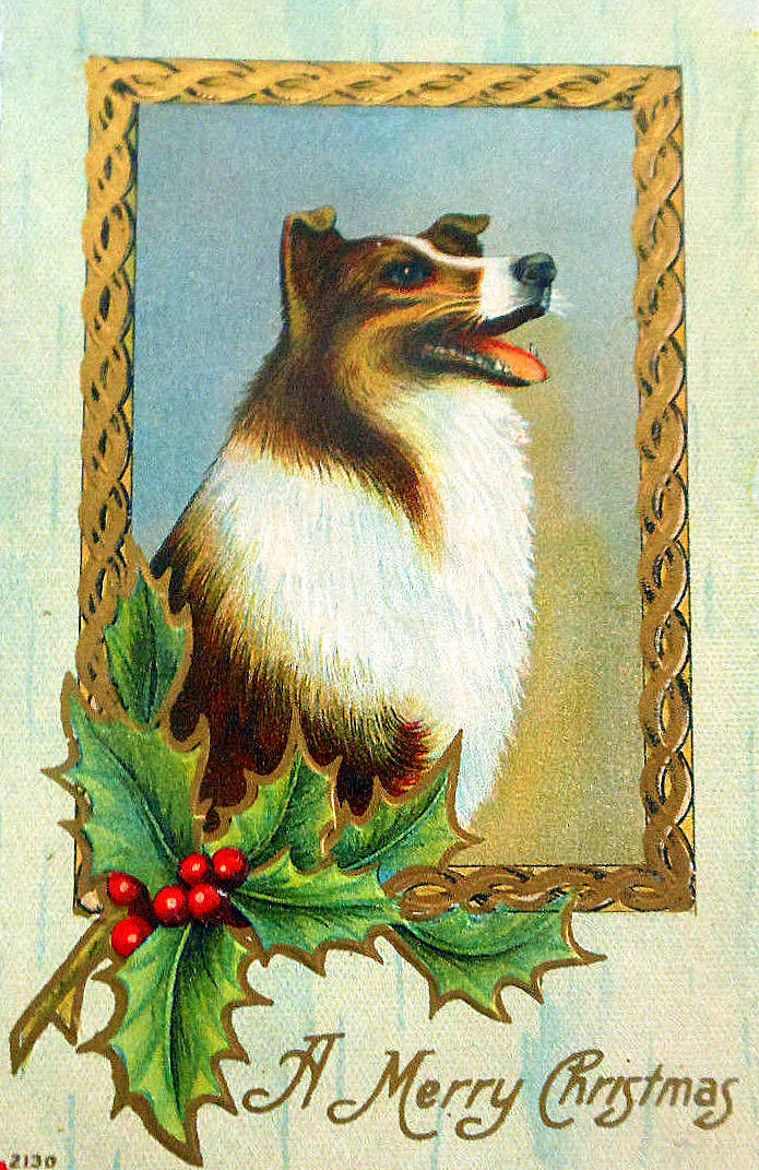 Vintage Postcard Christmas Collie