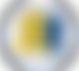 Bürgerstiftung erhält das begehrte Gütesiegel des Bundesverband Deutscher Stiftungen