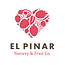 El Pinar, Segovia
