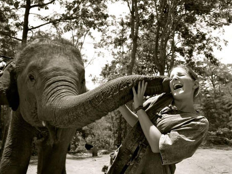 Elephant riding, yay or nay?